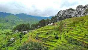 Sonanadi Wildlife Sanctuary